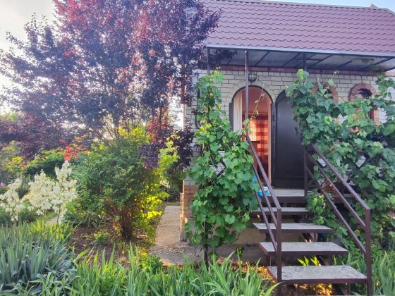 Оренда будинку дача дом подобово Обуховка