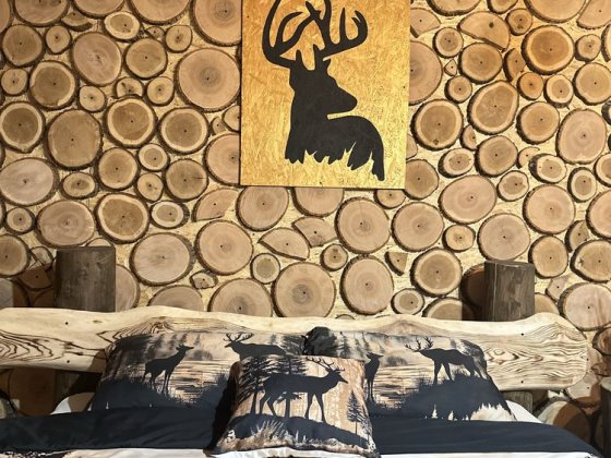 Будинок Котедж /Баня та Чан «у Чіґи» в Чинадієві Чинадиево