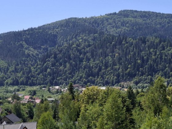 Відпочинок, будинок, у Карпатах Микуличин