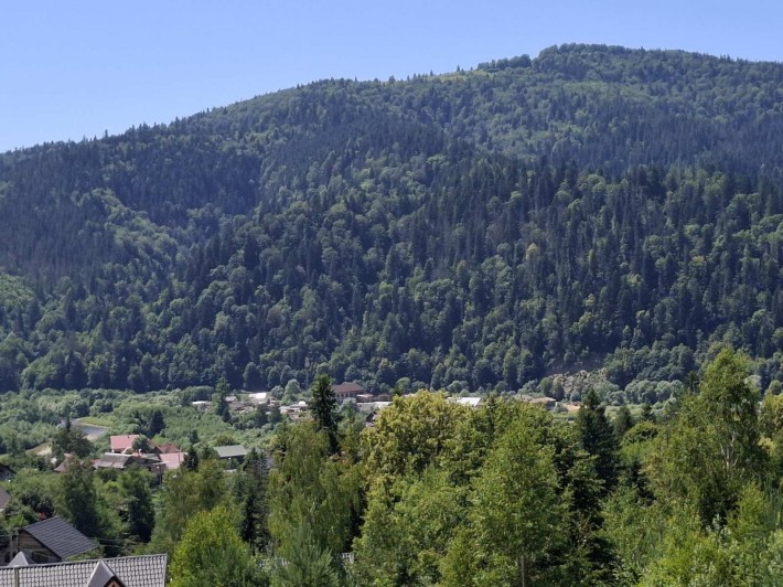 Відпочинок, будинок, у Карпатах - фото 1