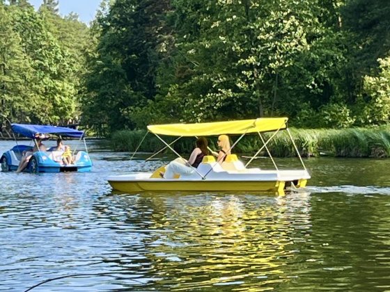 Відпочинок в Пущі-Водиці, подобова оренда садового будинку Горенка