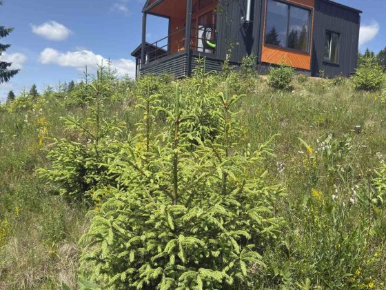 Окремий котедж у Славське на 4(+2 )особи Славское