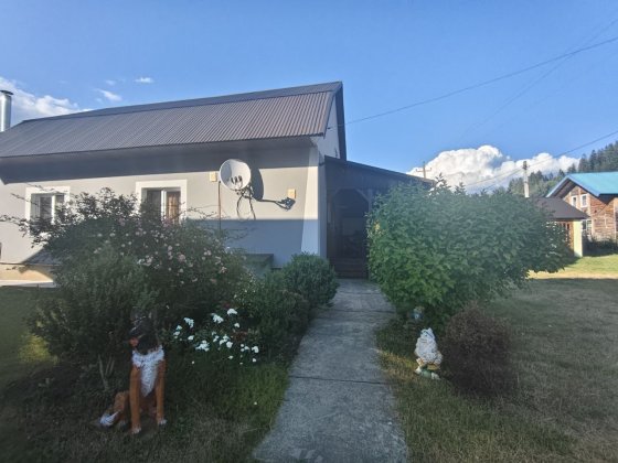 Котедж під лісом Славское