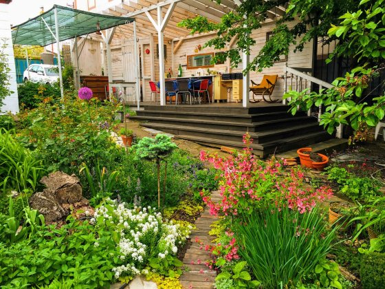 Здам дом дачу біля пляжу. Гарний сад. Вільний з 09 серпня по 19 серпня Крижанівка