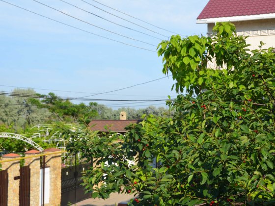 Оренда будинку  у моря с. Кароліно Бугаз, 300 метрів до пляжу Каролино-Бугаз