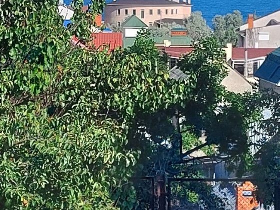 Сдам свою дачу.Каролино Бугаз..к.Дружба Каролино-Бугаз