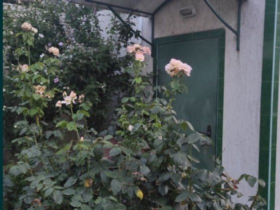 Сдам домик у моря Бурлача Балка