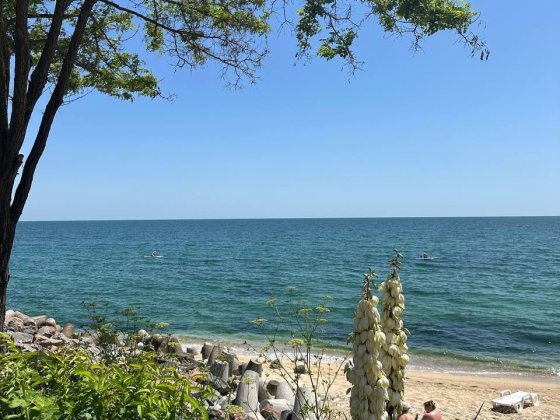 Оренда Перша Лінія  свій пляж  відпочинок у моря Совіньон свій пляж Бурлача Балка