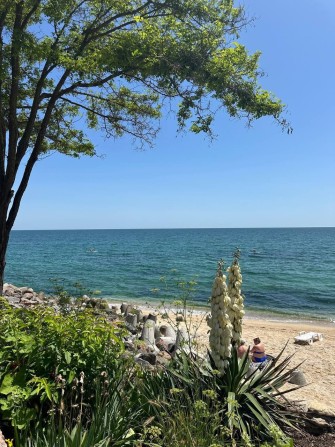 Оренда Перша Лінія  свій пляж  відпочинок у моря Совіньон свій пляж - фото 1