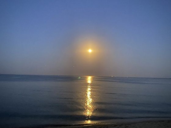 Сдам дачу на берегу моря Бурлача Балка