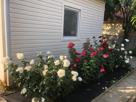 Будиночок 300 м. до моря • Санжейка • Одеська обл. Санжейка