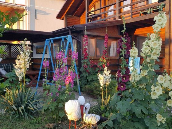 Затока сдам дом море первая линия Затока