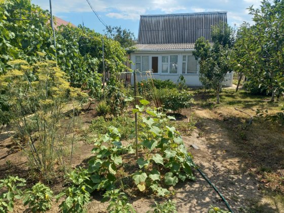 Дача,недалеко от моря. Санжейка