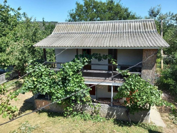 Відпочинок біля Дністра (Бакота 10 км;,  300 м до води) - фото 1