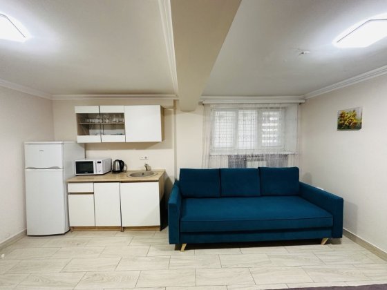 Бюджетна студія в історичній частині Черновцы