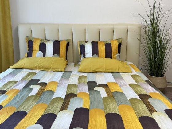 Квартира в центрі.Кондиціонер. Можливо і погодинно. 300грн година Черкаси