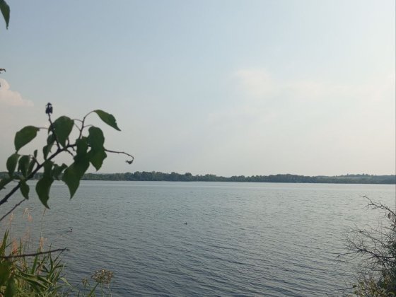 Участок с выходом на 1-й пруд, г. Счастье. Луганск