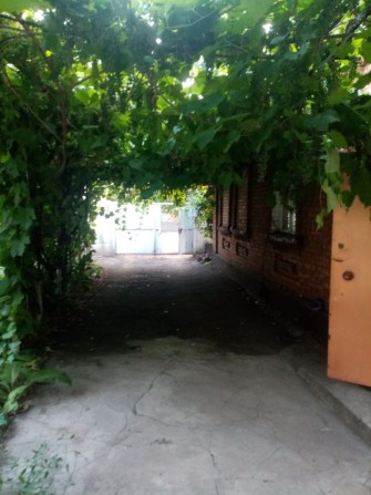 Сдаётся дом Центр - фото 1