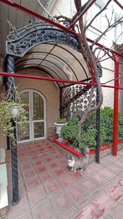 сдам дом  по Днепродороге , Крыжановка - фото 1