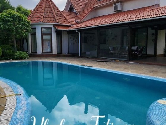 Аренда дома в Совиньоне,  гараж, бассейн,  подвал Одеса