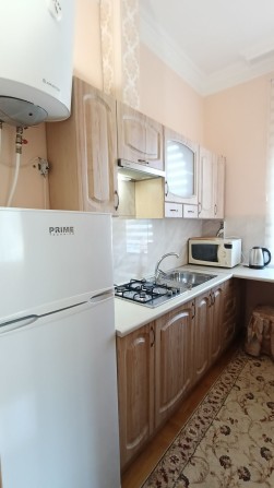 Оренда 1 кім квартири у будинку - фото 1