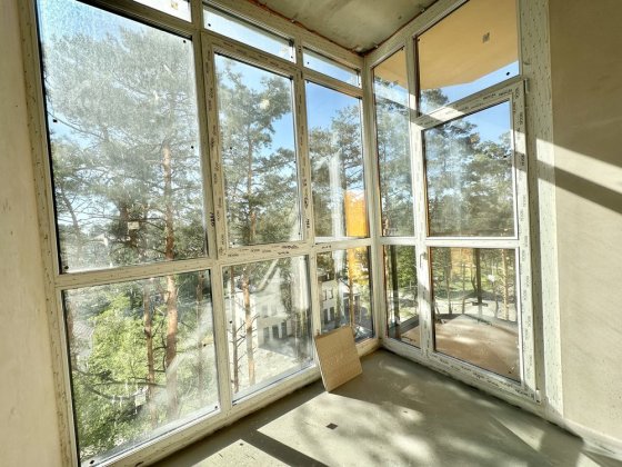 Простора 1-кімнатна квартира з чудовим краєвидом на сосновий ліс. Буча