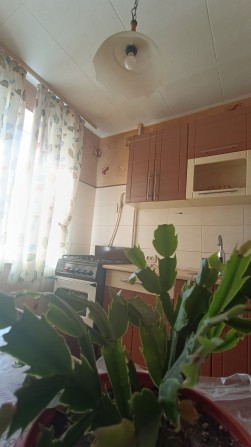 2к на 173 кварталі по вул. Едуарда Фукса - фото 1