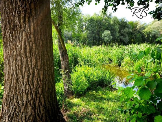 2-к. квартира у новобудові, ,, Нотехс,,. Пр. Свободи/Прокоф'єва Сумы