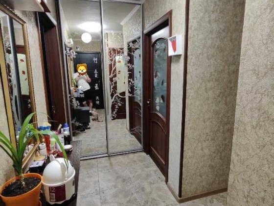 Продається двушка в с. Новому або обмін на трьошку з доплатою Кропивницкий