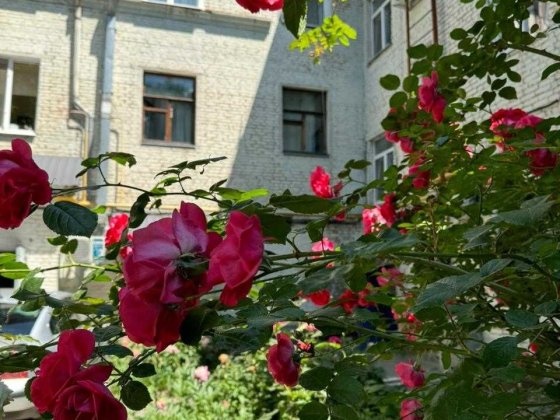 Квартира у м.Кропивницький, 4 кімн., сталінка, центр Кропивницкий