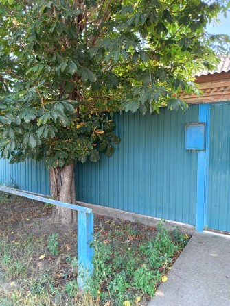 Продам газифікований будинок, зі зручностями,  вул.Таврійськс - фото 1