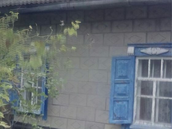 Невеликий будиночок у Верхівцево Кам'янське