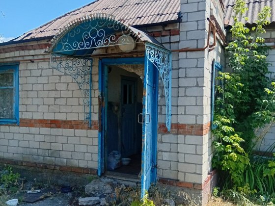 Елізаветівка  будинок з великим участклм Кам'янське