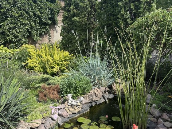 Продам два дома в центре города YANOVA Кам'янське