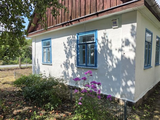 Продається свій будинок, Звягель Звягель