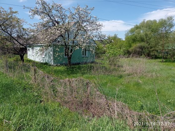 Будинок  10 соток Деревяний Дружба 65 Звягель