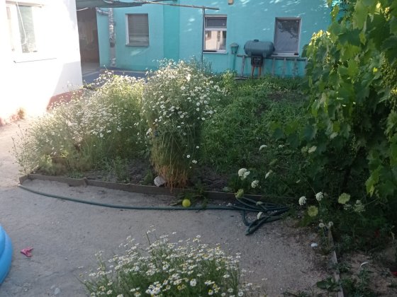 Не сдаем!Продаем Дома 1+1 в центре  міста Павлоград