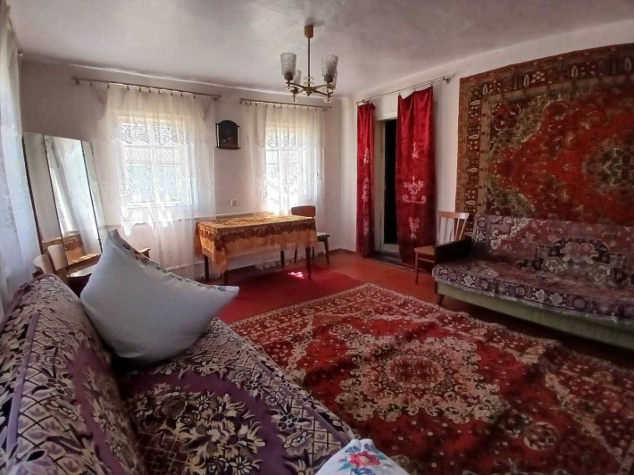 Продаж 2 кімнатного будинку в ДМИТРУШКАХ - фото 1