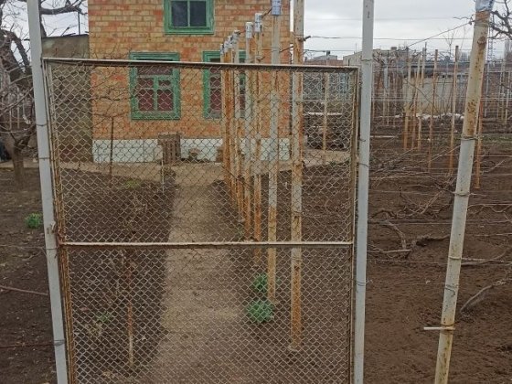 Продам дачу г. Нікополь Нікополь