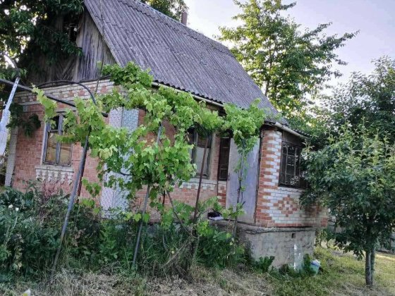 (3) Продам дачний будинок в Стрижавці 0691 Стрижавка