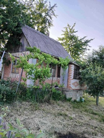 (3) Продам дачний будинок в Стрижавці 0691 - фото 1
