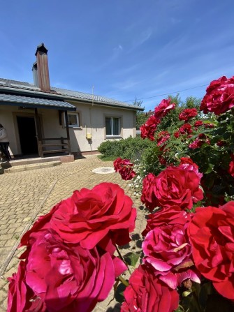 Продаж Будинок Обрій 130м кв - фото 1