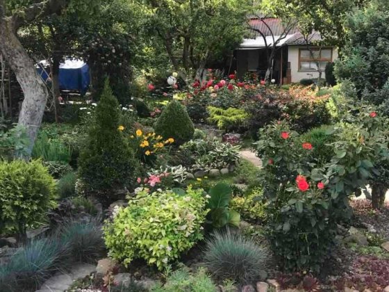 Продам дачу в с. Петрик (Рибаче) Петрик