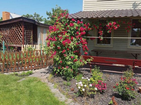 Продам дом-дачу в Обуховке. Обуховка