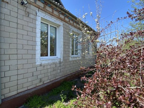 Продаж будинку  центр села Орловщина