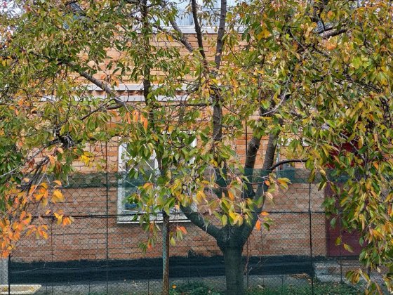 Будинок дача. ст Приозёрне. поряд Новоселівка, Новомосковський р-н. Новоселовка