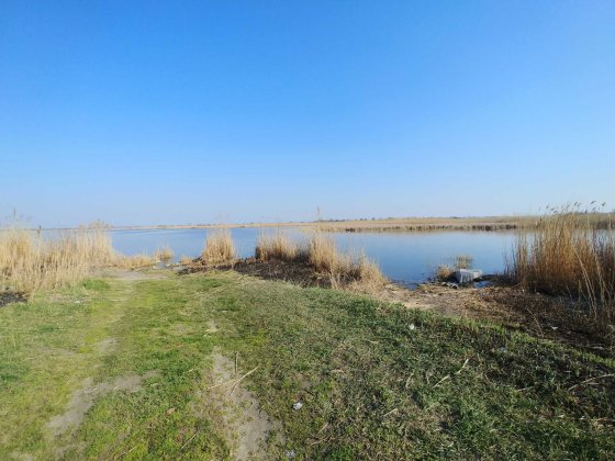 Домик с участком 10 соток на берегу реки Самара - район Новоселицы. Новоселовка