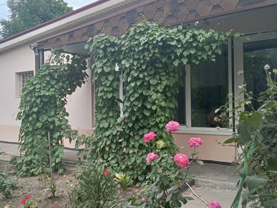 Цена снижена ,Продается замечательный дом , аренда не рассматривается, Тернівка