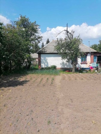 Будинок у серці Радомишля — затишок, історія та природа поруч - фото 1
