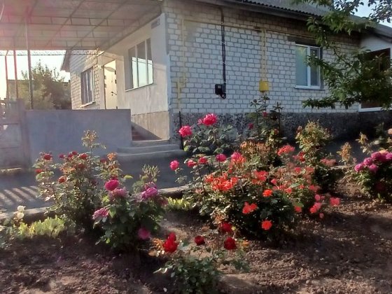 Продається будинок Попельня